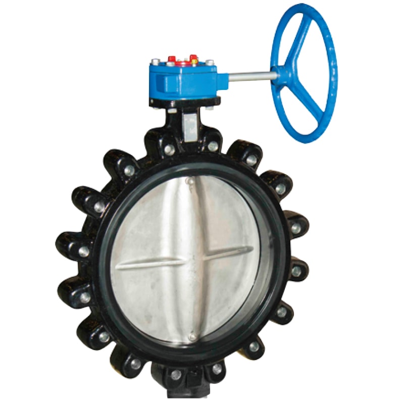 Concentric Lug Type Butterfly Valve