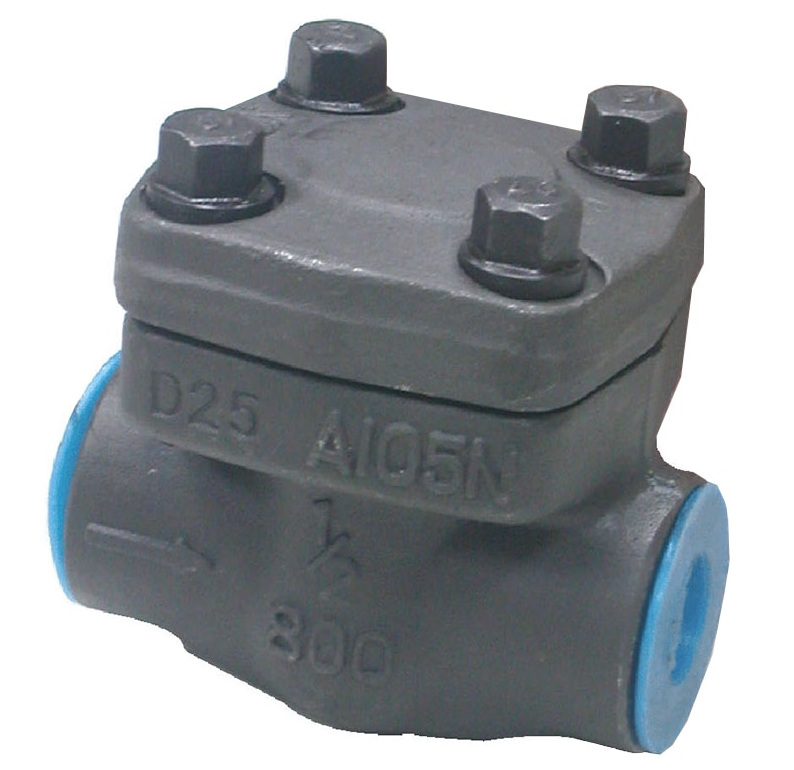 Forged Steel Swing Check Valve