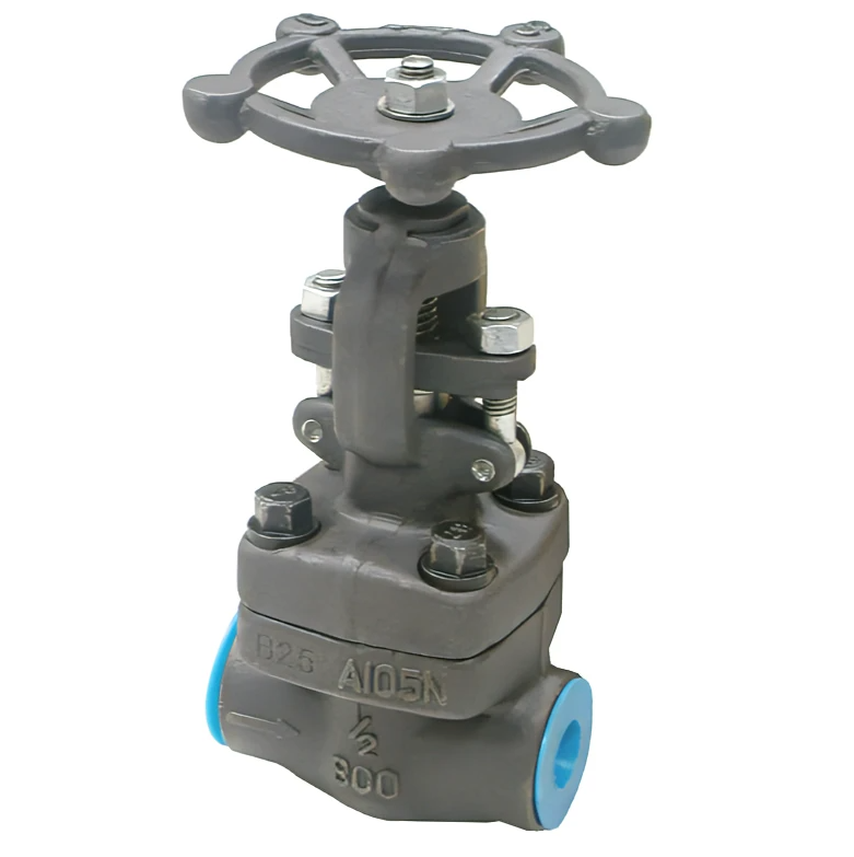 Forged Steel Globe Valve Class 800