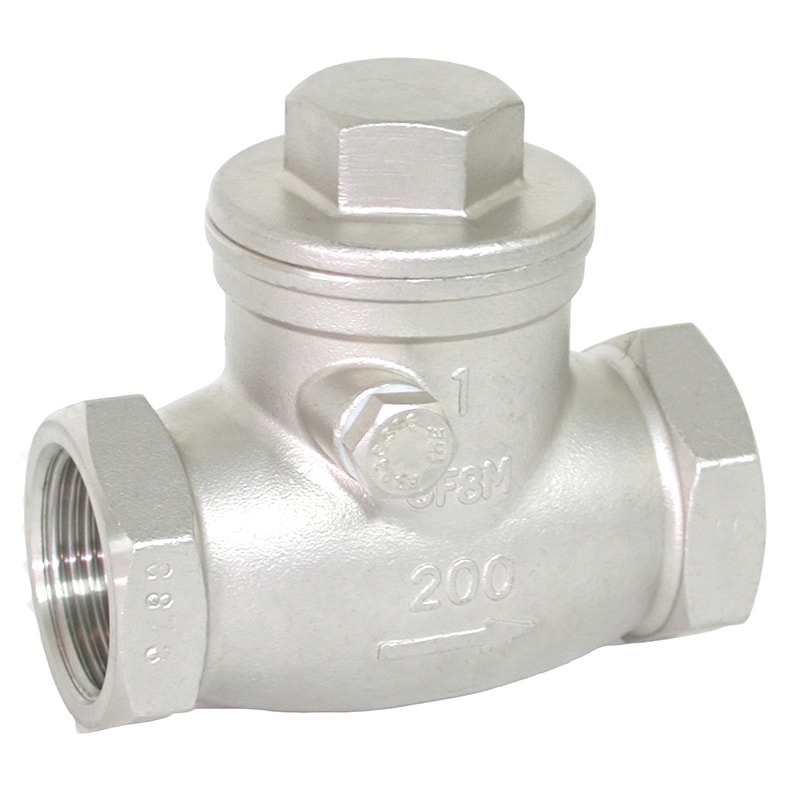Stainless Steel Threaded Swing Check Valve